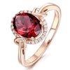 Luxury Garnet & Zircon Sterling Silver Ring