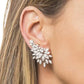 Gorgeous Zircon Stud Earrings