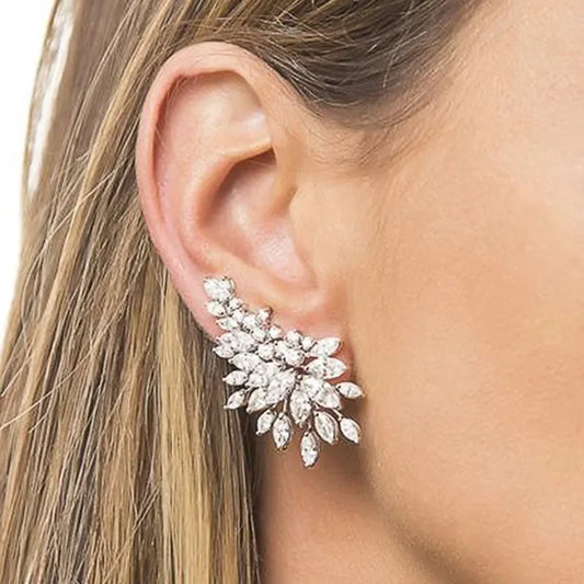 Gorgeous Zircon Stud Earrings