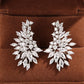 Gorgeous Zircon Stud Earrings