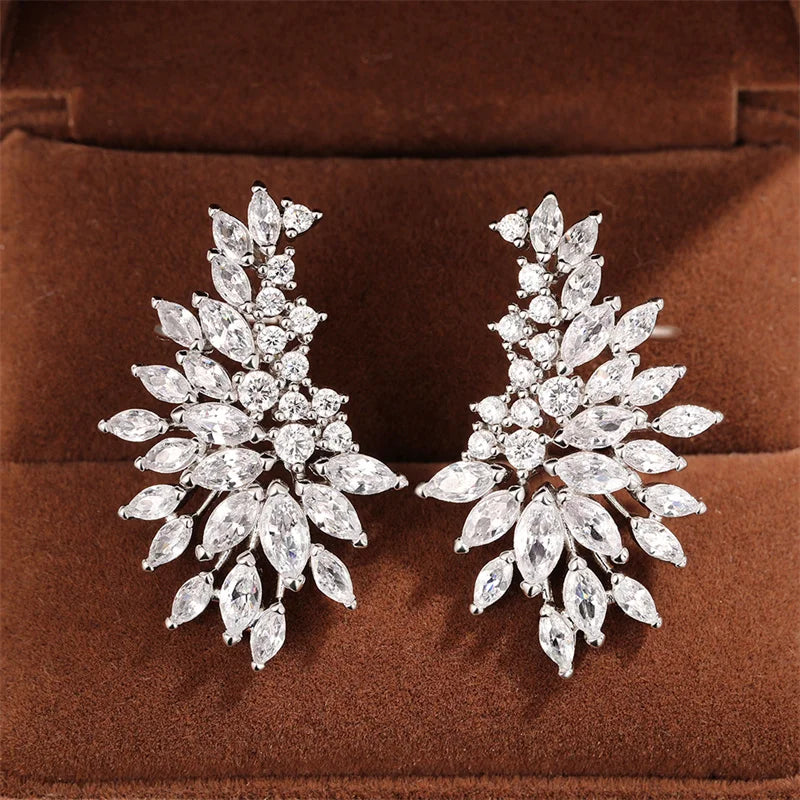 Gorgeous Zircon Stud Earrings
